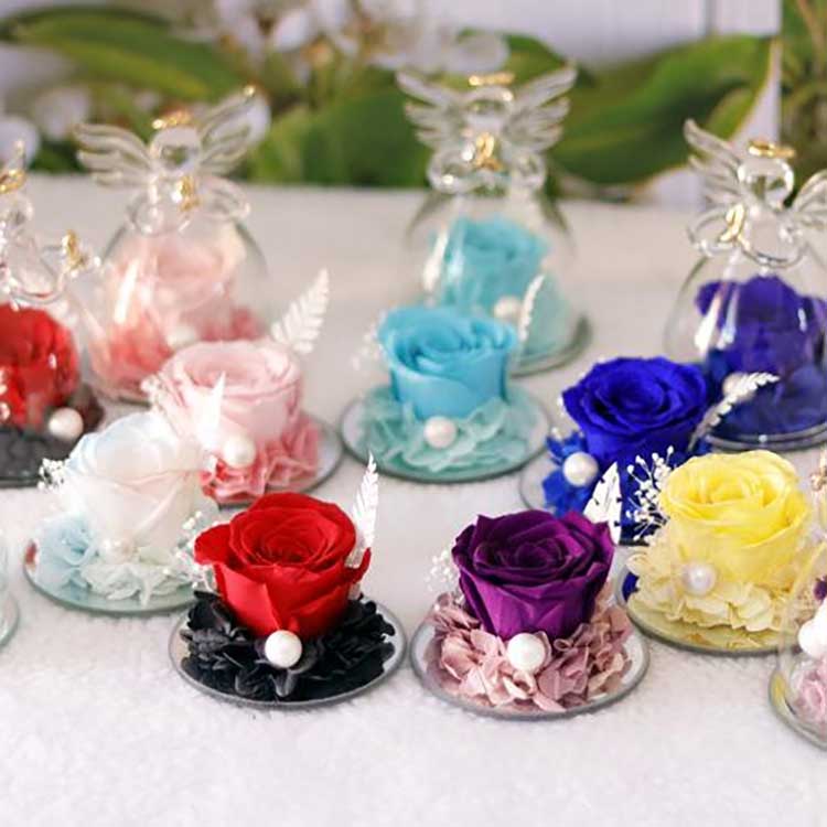 ດອກກຸຫຼາບ ນິລັນດອນ Angelic